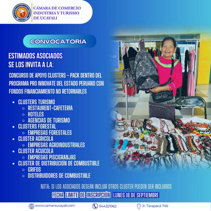 Concurso de apoyo CLUSTERS-PAC dentro del programa PRO INNOVATE del estado peruano.